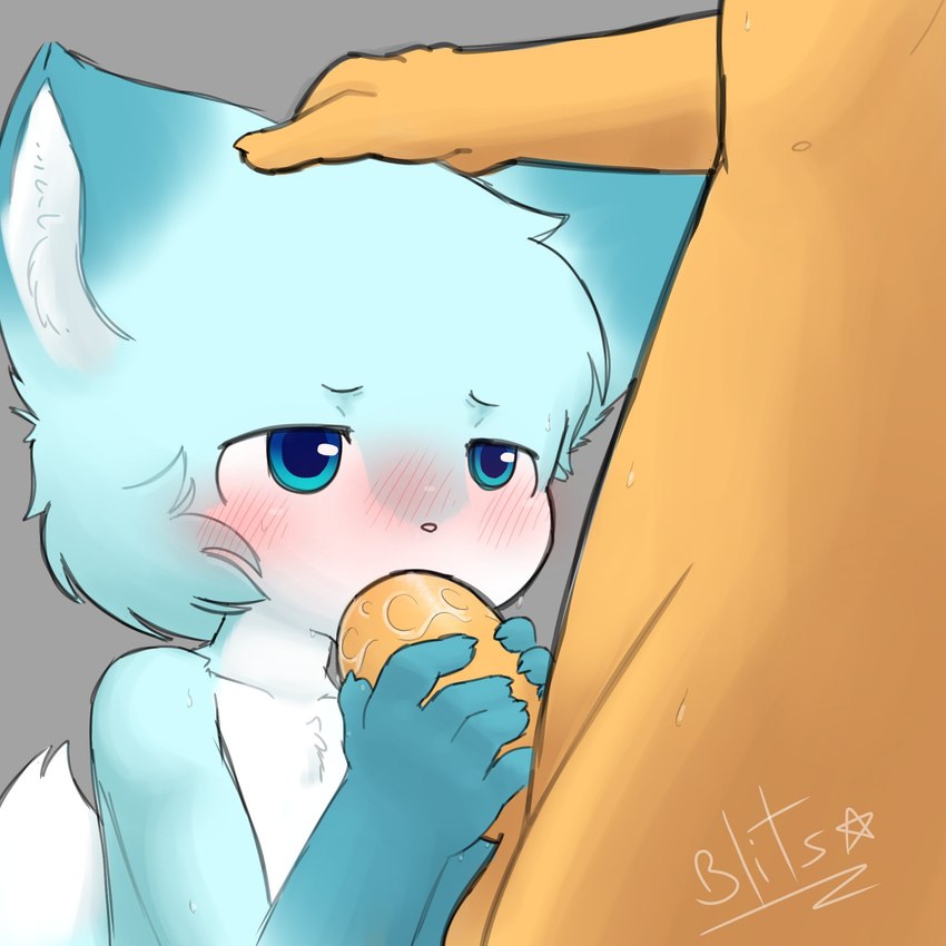 anthro anthro_penetrated blue_body blue_eyes blue_fur blush duo fellatio fur genitals hand_on_head human_on_anthro human_penetrating human_penetrating_anthro human_penetrating_male humanoid_genitalia humanoid_penis inner_ear_fluff interspecies male male/male male_anthro male_human male_penetrated male_penetrating male_penetrating_male oral penetration penile penis sex simple_background tuft white_body white_fur white_inner_ear_fluff young young_anthro young_male nuangell canid canine fox human mammal 1:1 hi_res signature