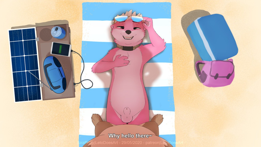 animal_genitalia anthro balls beach brown_body brown_fur collar electronics eyewear first_person_view fur genitals glasses greeting male male_pov phone pink_body pink_fur seaside sheath text letodoesart ottah mammal mustelid otter river_otter 16:9 english_text widescreen