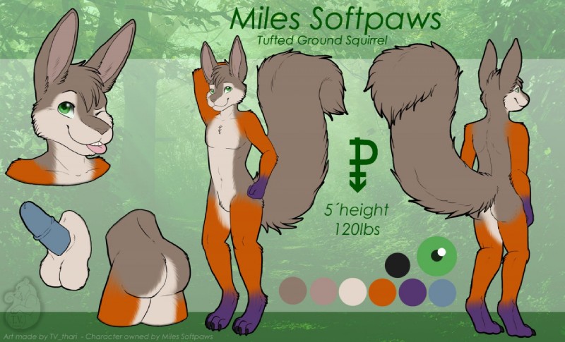 anthro balls blue_penis color_swatch genitals male penis solo text tv_thari alvar_miles_udell mammal rodent sciurid tree_squirrel character_name english_text flat_colors model_sheet