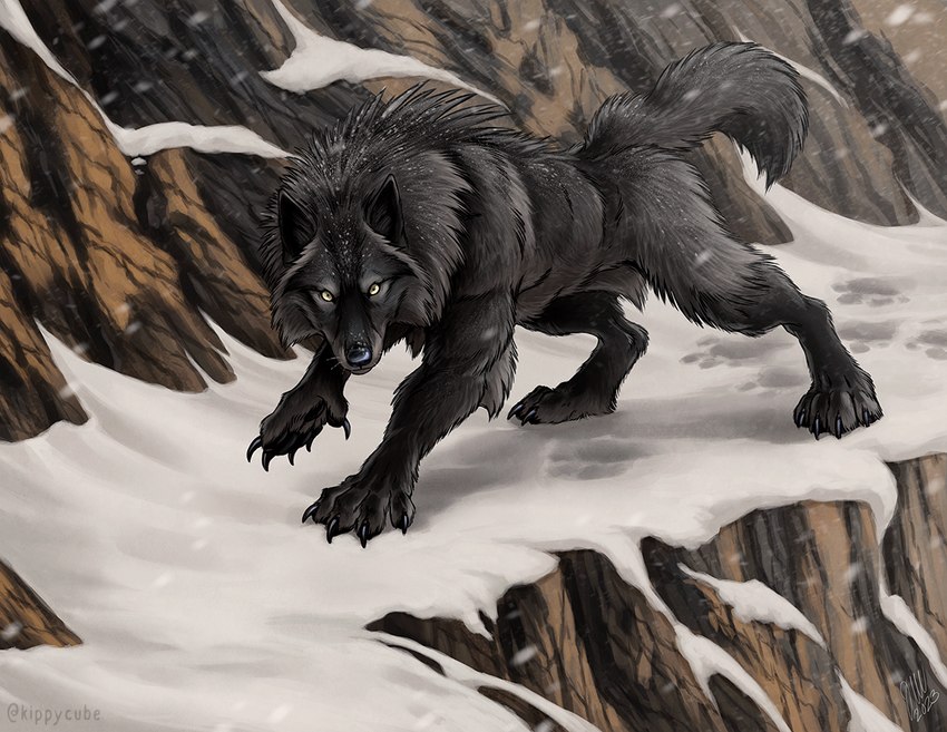 ambiguous_feral ambiguous_gender arm_tuft big_feet black_body black_fur black_nose cheek_tuft claws detailed_background detailed_fur dewclaw digitigrade elbow_tuft facial_tuft feet feral fluffy fluffy_tail footprint fur hindpaw looking_at_viewer mane mountainside muscular muscular_feral nude outside pawprint paws prowling quadruped raised_hackles snow snow_on_fur snowing solo tail tuft walking whiskers yellow_eyes kippycube mythology canid canine canis mammal mythological_canine mythological_creature werecanid werecanine werecreature werewolf wolf artist_name detailed male_(lore)