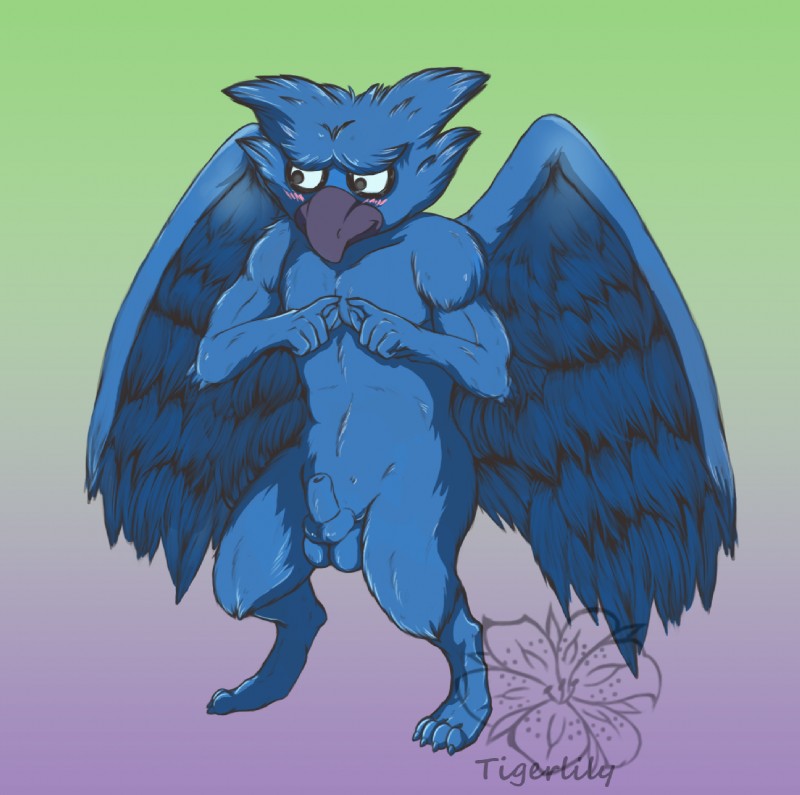 animal_genitalia anthro balls beak biped black_eyes blue_balls blush feathered_wings feathers fully_sheathed genitals male nude sheath shy solo standing wings tigerlilylucky level-5 yo-kai_watch tengloom avian bird corvid corvus_(genus) crow oscine passerine hi_res