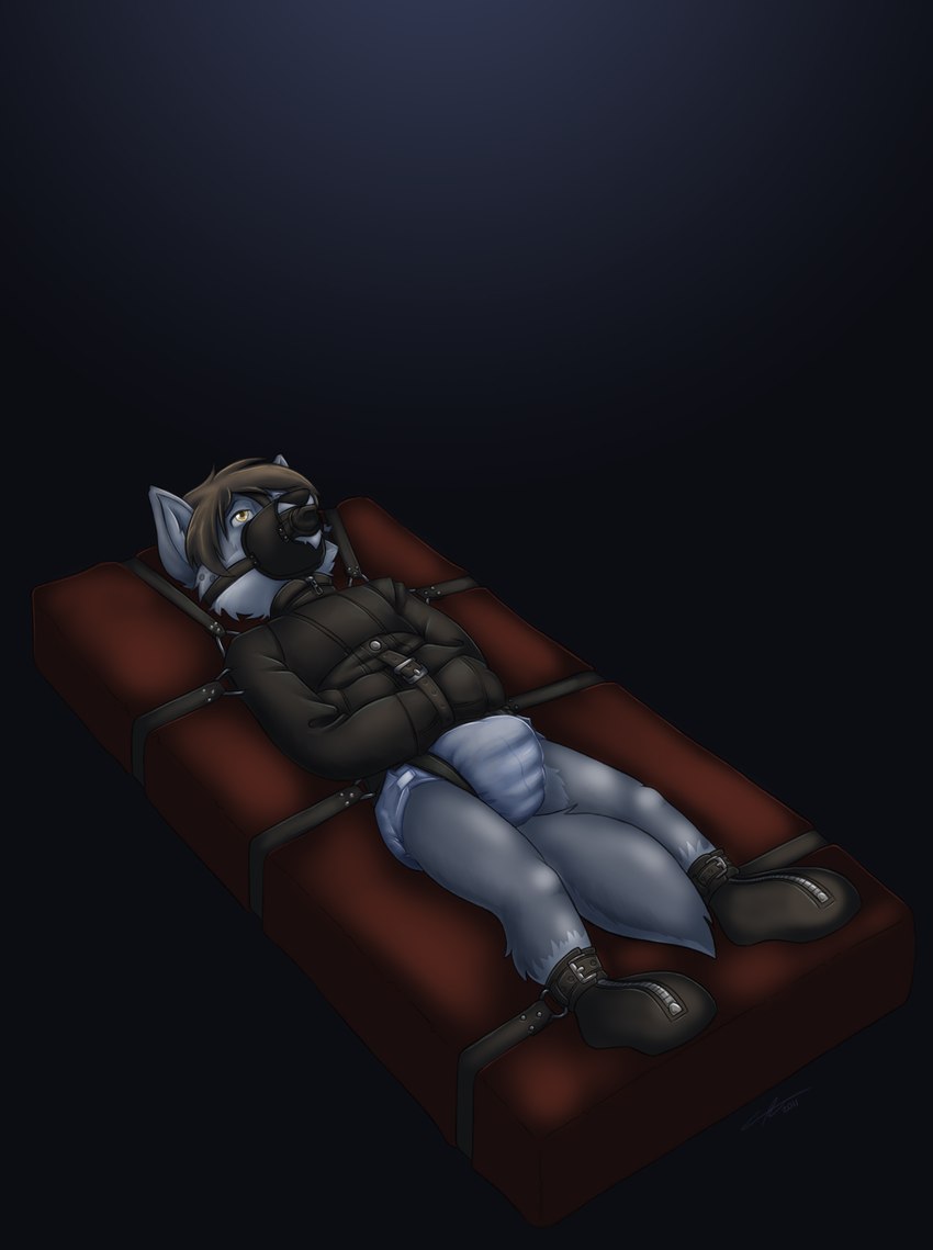 anthro bdsm bed bondage booties bound clean_diaper clothed clothing diaper furniture leather leather_strap male muzzle_(object) muzzled restraints solo straitjacket straps wearing_diaper carotte666 canid canine canis mammal wolf absurd_res hi_res