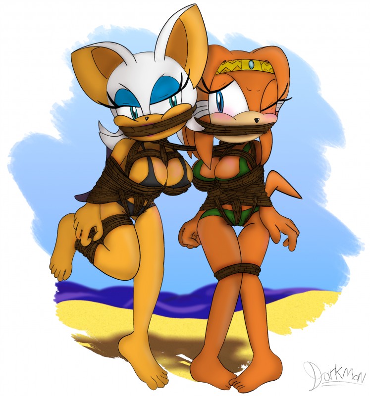 anthro bdsm big_breasts bikini blush bondage bound breasts clothed clothing crooked_tail crotch_rope duo eyes_closed female gag looking_at_viewer rope rope_gag swimwear tail two-piece_swimsuit wings wings_tied darkman-zero sega sonic_adventure sonic_the_hedgehog_(series) rouge_the_bat tikal_the_echidna bat echidna mammal monotreme absurd_res hi_res