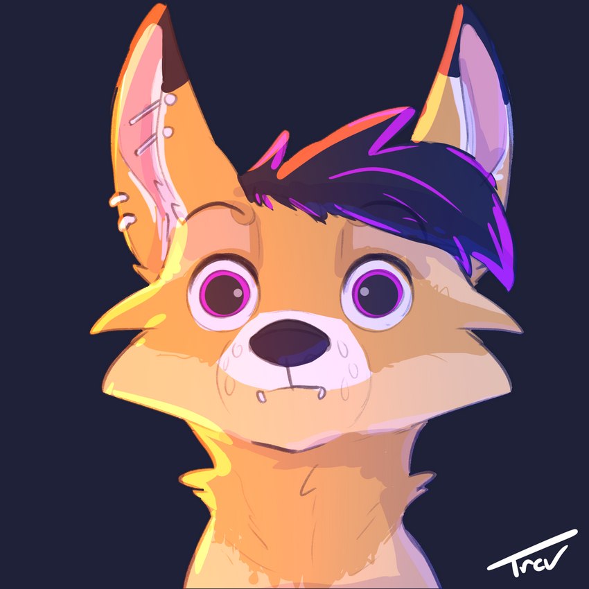 dubsthefox created by trevart