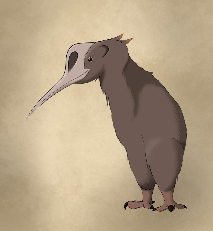 ambiguous_gender beak feet feral solo talons toes flightless mel_vixen(artist) avian bird kiwi_(bird) ratite