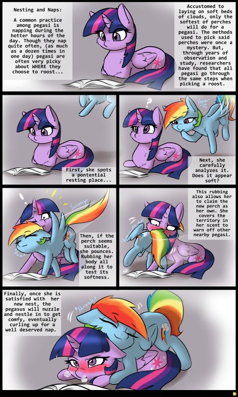 rainbow dash and twilight sparkle (friendship is magic and etc) created by pudgeruffian