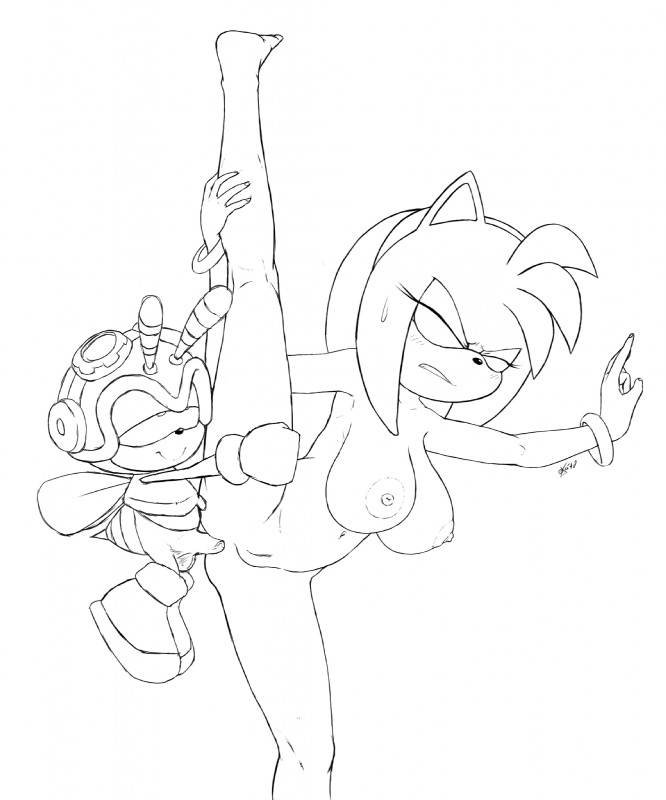 amy rose and charmy bee (sonic the hedgehog (series) and etc) created by excito