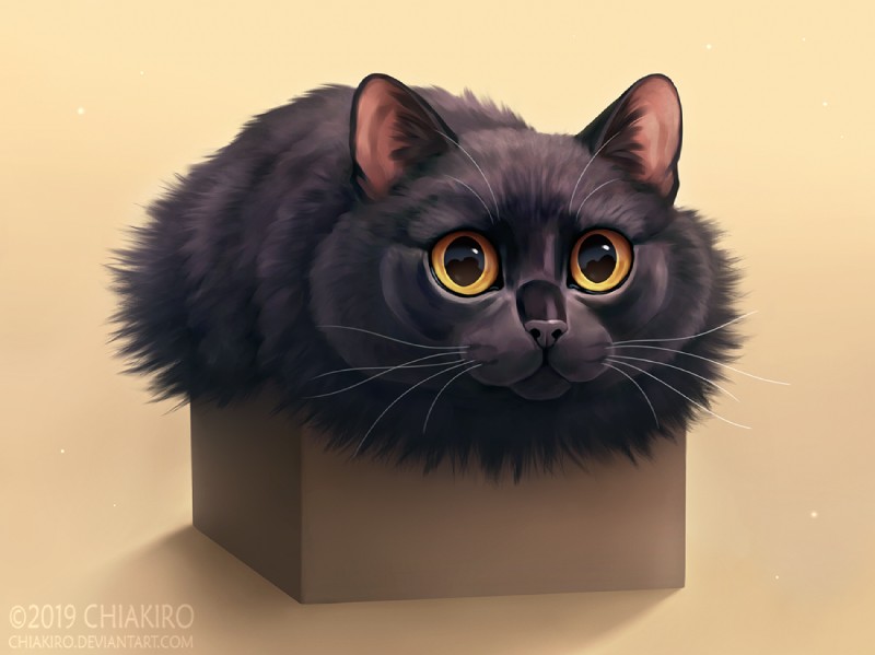 amber_eyes ambiguous_gender black_body black_fur box container feral fur looking_at_viewer shadow simple_background solo tan_background whiskers white_whiskers chiakiro domestic_cat felid feline felis mammal 2019