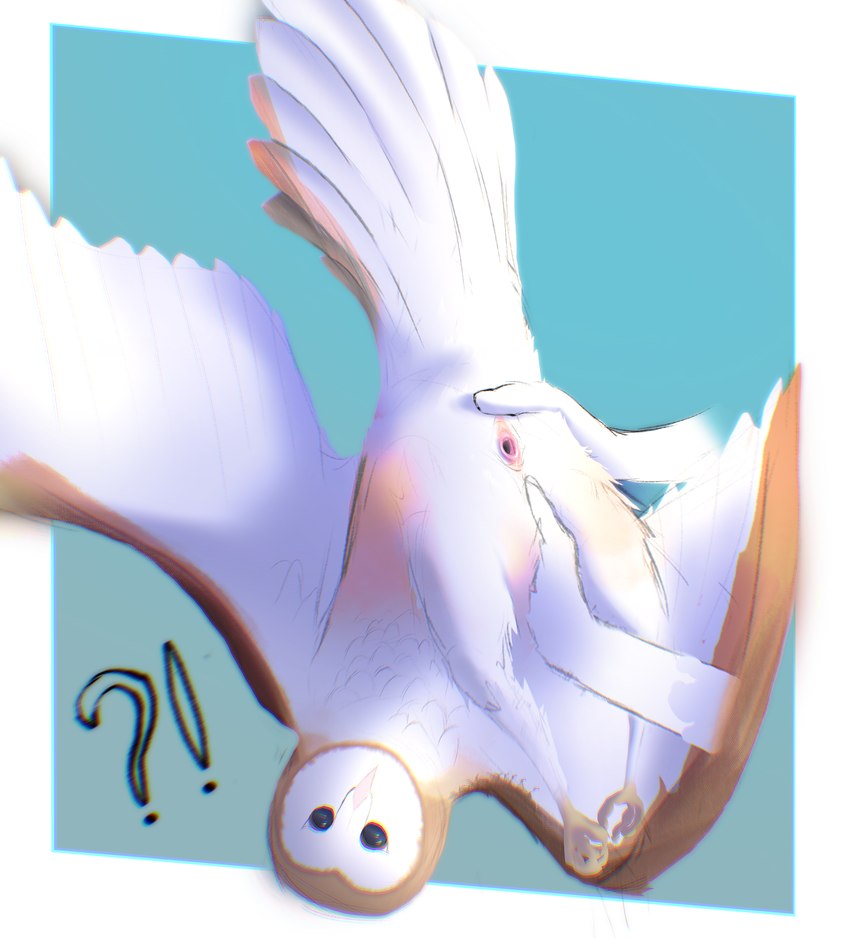 ambiguous_gender anatomically_correct anatomically_correct_cloaca anatomically_correct_genitalia animal_genitalia avian_butt avian_feet beak brown_body brown_feathers cloaca disembodied_hand feathers feet feral gaping gaping_cloaca genitals held_upside_down solo spread_cloaca spreading tail tail_feathers talons toes white_body white_feathers wings barn-owl_(artist) avian barn_owl bird owl tyto tytonid absurd_res hi_res nonbinary_(lore)