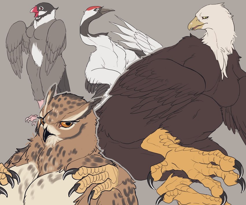 4_toes anisodactyl anthro avian_feet bead beak big_breasts black_beak black_talons breasts brown_body brown_breasts brown_feathers claws eyelashes feather_tuft feathered_wings feathers featureless_breasts feet female fluffy glistening glistening_beak glistening_eyes grey_background grey_body grey_feathers grey_outline group head_tuft iris long_neck looking_at_viewer lying mouth_closed multicolored_body multicolored_ears multicolored_feathers neck_tuft no_irises nude nude_anthro nude_female on_side open_beak open_mouth open_smile orange_sclera outline pink_talons pink_tongue pupils red_beak red_eyes simple_background smile smiling_at_viewer standing straight_legs talons thick_thighs toe_claws toes tongue tuft two_tone_body two_tone_feathers white_body white_breasts white_feathers winged_arms wings yellow_beak yellow_sclera nekomata_ftnr accipitrid accipitriform avian bald_eagle bird crane_(bird) eagle gruiform owl sea_eagle 2024 digital_drawing_(artwork) digital_media_(artwork) hi_res