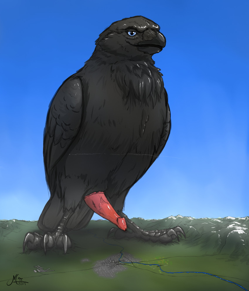 4_toes anisodactyl avian_butt beak black_body black_feathers black_feet blue_eyes blue_sky city cloacal_penis erection feathers feet feral genitals landscape_dwarfing macro macro_feral macro_male male male_feral mountain penis pink_penis sky solo tapering_penis toes vein veiny_penis magpi apothem australian_raven avian bird corvid corvus_(genus) oscine passerine raven hi_res