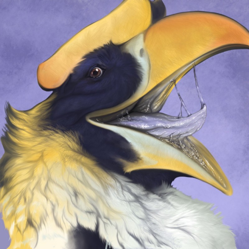 harry hornbill created by dogspots