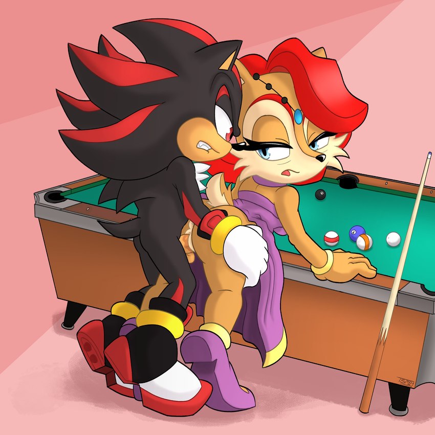 alicia acorn and shadow the hedgehog (sonic the hedgehog (archie) and etc) created by thesplashmaster