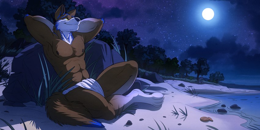 anthro beach bottomwear clothing cloud comfortable forest forest_background loincloth male moon nature nature_background night ottertem plant sand seaside solo space star tree temiree the_ardwolf canid canine canis mammal wolf 2:1 hi_res