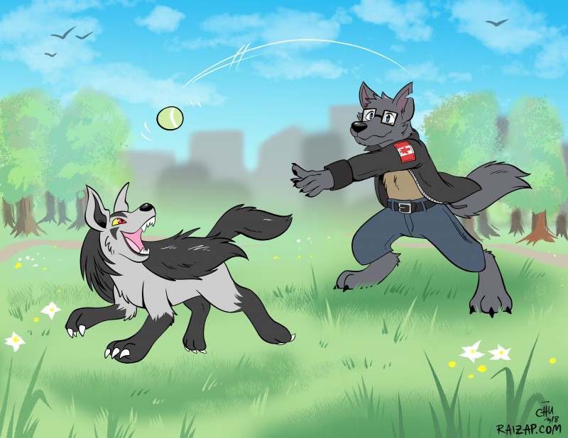 anthro ball canada canadian_flag catch clothed clothing duo feral fully_clothed maple_leaf outside park the-chu nintendo pokemon fang_(rmaster) zach_(rmaster) canid canine canis generation_3_pokemon mammal mightyena pokemon_(species) wolf 2018 absurd_res hi_res