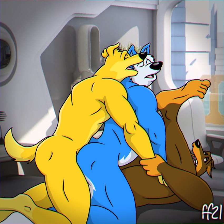 anthro blue_body blue_fur brown_body brown_fur butt eyes_closed fur group group_sex male male/male male_penetrated male_penetrating male_penetrating_male muscular muscular_anthro muscular_male nude open_mouth penetration sex threesome yellow_body yellow_fur fabfelipe road_rovers blitz_(road_rovers) exile_(road_rovers) hunter_(road_rovers) bird_dog canid canine canis dobermann domestic_dog golden_retriever hunting_dog husky mammal nordic_sled_dog pinscher retriever spitz 1:1 hi_res