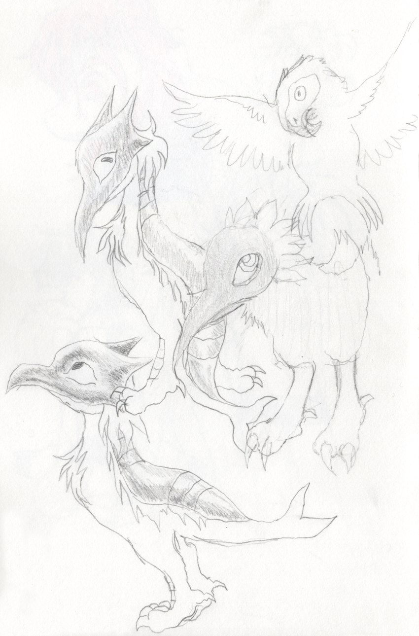 ambiguous_gender armless armor beak chest_tuft duo feral feral_with_hair flying front_view hair looking_aside looking_at_viewer looking_up mane side_view spread_wings tuft wings teochronico accipitrid accipitriform avian bird cetacean chimera hybrid mammal marine parrot 2024 absurd_res graphite_(artwork) hi_res traditional_media_(artwork)