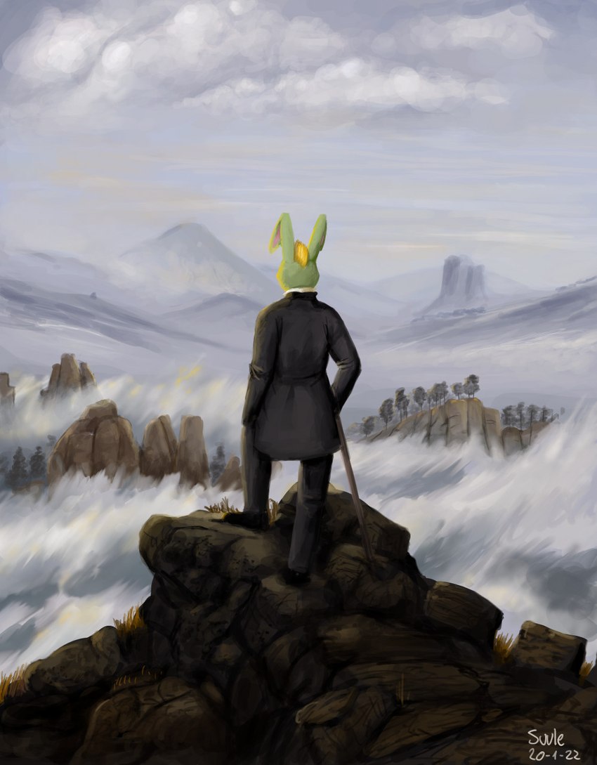 ambiguous_gender anthro biped cane cliff clothed clothing detailed_background fog footwear high_place holding_object mountain outside rear_view shoes solo standing suit caspar_david_friedrich suule wanderer_above_the_sea_of_fog lagomorph leporid mammal rabbit cloudy_(disambiguation) 2022 hi_res inspired_by_formal_art signature