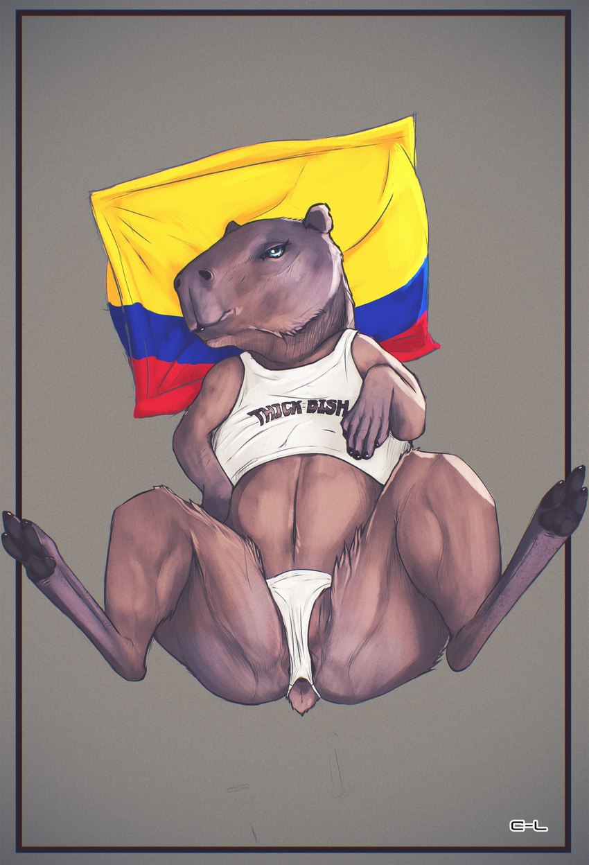 anus barely_visible_anus blue_eyes brown_body brown_fur clothed clothed_feral clothing colombian_flag female feral fur grey_background high-angle_view looking_at_viewer lying on_back partially_clothed presenting shirt simple_background solo spread_legs spreading tank_top topwear underwear cosmiclife capybara caviid mammal rodent hi_res