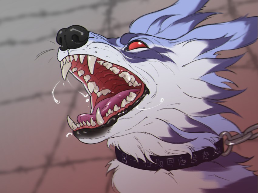 ambiguous_gender bodily_fluids chain chain_leash collar control_collar feral leash mind_control open_mouth red_eyes saliva slave solo raudegil bandai_namco digimon canid canine canis digimon_(species) garurumon mammal wolf 2022 4:3 hi_res