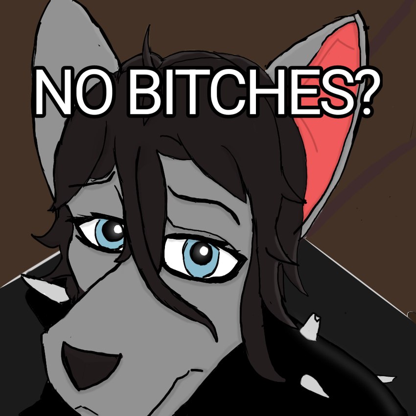 anthro bat_ears black_hair black_nose blue_eyes clothed clothing female hair humor inside looking_at_viewer profanity solo text three-quarter_view chriss_(artist) megamind_(series) no_bitches? florencia_furlain bat canid canine hybrid mammal 1:1 english_text meme