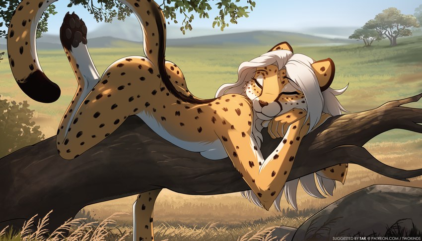 4_toes 5_fingers anthro arched_back biped branch breasts casual_nudity claws countershade_fur countershade_torso countershading digitigrade eyelashes eyes_closed feet female fingers front_view fur hair lying markings nude nude_anthro nude_female on_front outside pawpads paws plant savanna side_boob sleeping small_breasts solo spots spotted_body spotted_fur spotted_markings spotted_tail tail tail_markings toe_claws toes tree conditional_dnp narikusha tom_fischbach twokinds cheetah felid feline keidran mammal 2025 7:4 absurd_res digital_media_(artwork) hi_res