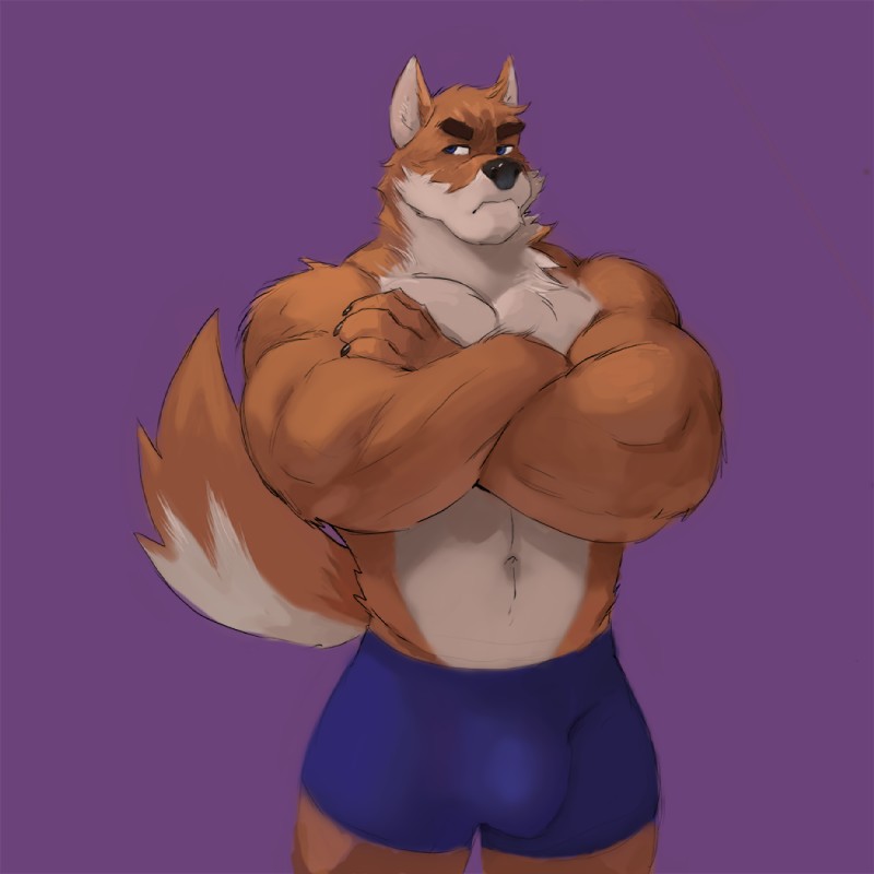 anthro bulge clothed clothing crossed_arms fur male muscular muscular_anthro muscular_male navel solo tight_clothing topless julicat otake canid canine canis domestic_dog mammal 1:1