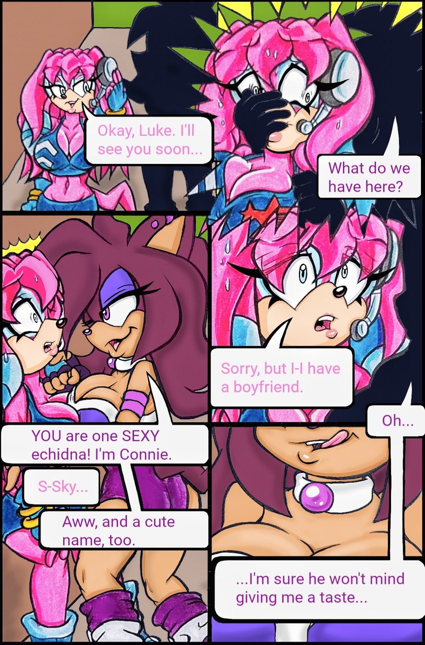 connie the hedgehog, fan character, and sky the echidna (sonic the hedgehog (series) and etc) created by melsky (artist) and unknown artist
