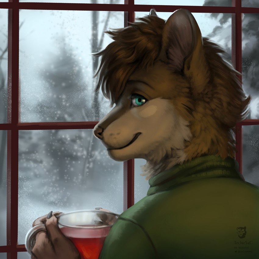 anthro beverage blurred_background glass hair holding_object male plant snow solo tea tree warm window techiesxc canid canine canis mammal wolf 1:1 digital_media_(artwork) hi_res