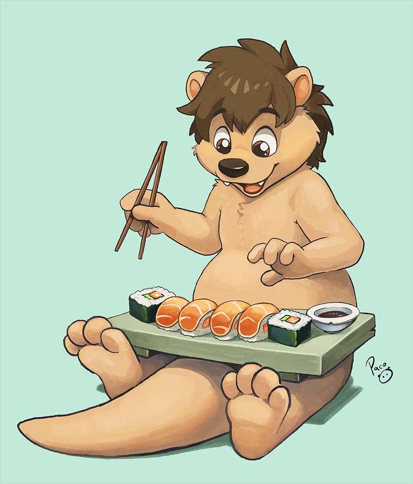 4_fingers anthro biped brown_hair chopsticks eyebrows fingers food hair holding_chopsticks holding_object male open_mouth open_smile smile solo sushi tail pandapaco svenfluffotter mammal mustelid otter digital_media_(artwork) procreate_(artwork)