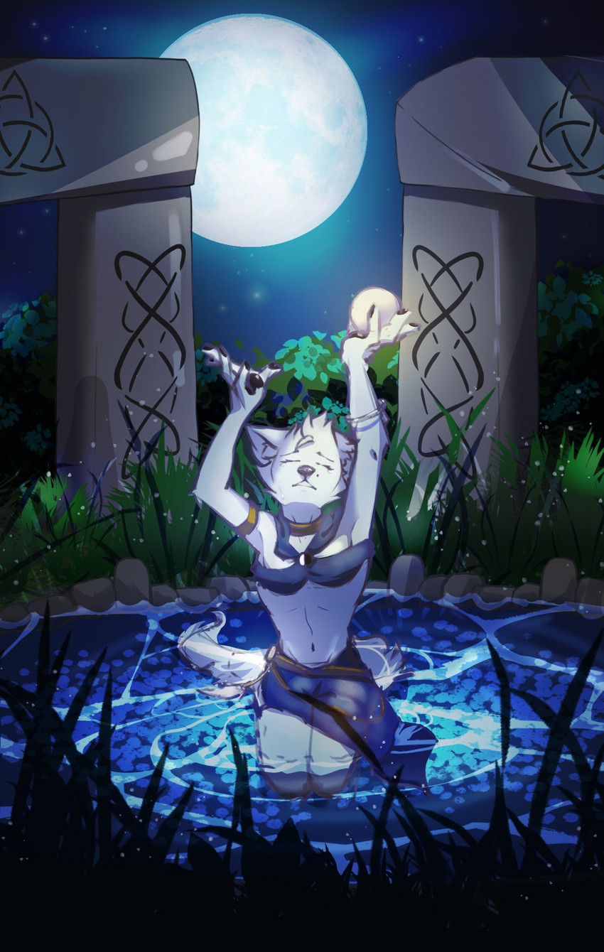 celtic celtic_symbol clothed clothing detailed_background eyes_closed female full_moon fur grass light moon moonlight night outside partially_clothed pawpads plant raised_hand sky solo star starry_sky stone_column triquetra wet wet_body wet_clothing wet_fur white_body white_fur nicecola far_beyond_the_world_(series) verissa_(far_beyond_the_world) canid canine canis mammal wolf hi_res