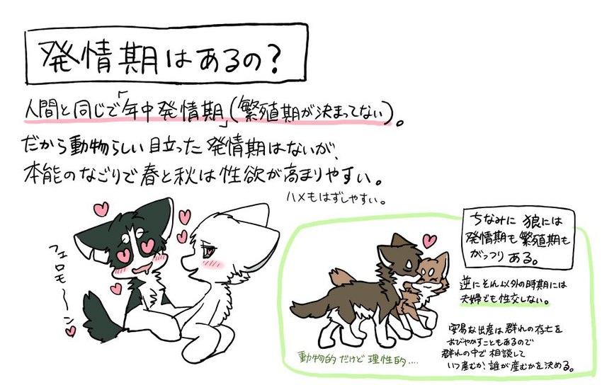 ambiguous_gender countershading duo feral in_heat romantic romantic_couple text ayaka a-chan mashiro canid canine canis domestic_dog mammal japanese_text multiple_images translated