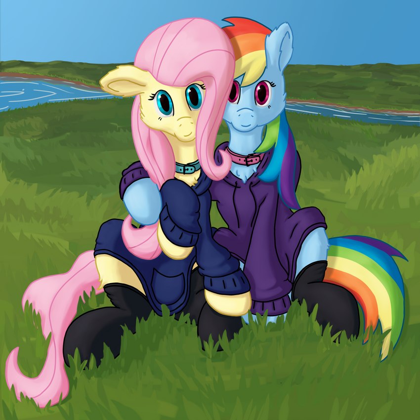 blue_body blue_fur chest_tuft clothed clothed_feral clothing collar duo female female/female feral fluffy footwear fur grass grass_field hair hoodie hug legwear looking_at_viewer multicolored_hair multicolored_tail pink_collar pink_eyes pink_hair pink_tail plant rainbow_hair rainbow_tail river smile socks stockings tail teal_collar teal_eyes topwear tuft wings yellow_body yellow_fur callichrome friendship_is_magic hasbro my_little_pony mythology fluttershy_(mlp) rainbow_dash_(mlp) equid equine horse mammal mythological_creature mythological_equine pegasus pony 1:1 hi_res