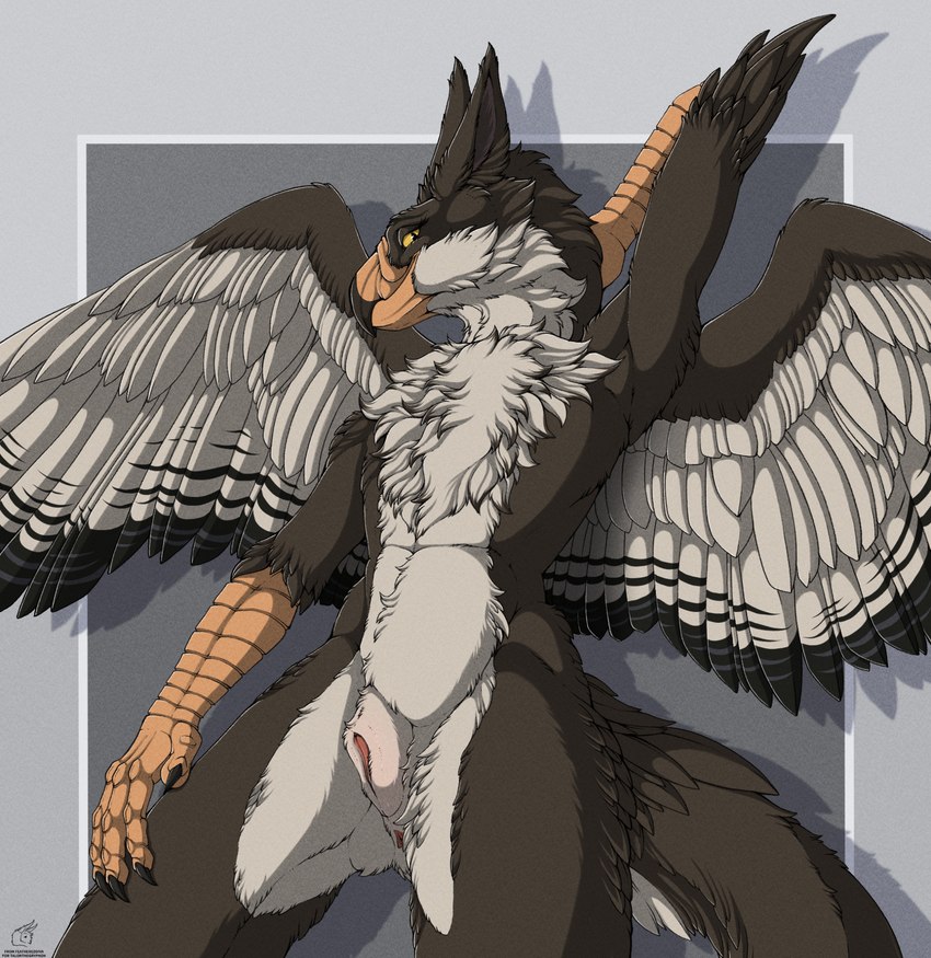 anthro anus beak black_claws claws countershading female flat_chested fur genitals grey_body grey_fur looking_at_viewer nude pussy scuted_arms scutes smile solo standing text white_body white_countershading white_fur wings yellow_beak yellow_sclera feathered_diva mythology bhaskara avian gryphon mythological_avian mythological_creature 2024 artist_name colored english_text hi_res