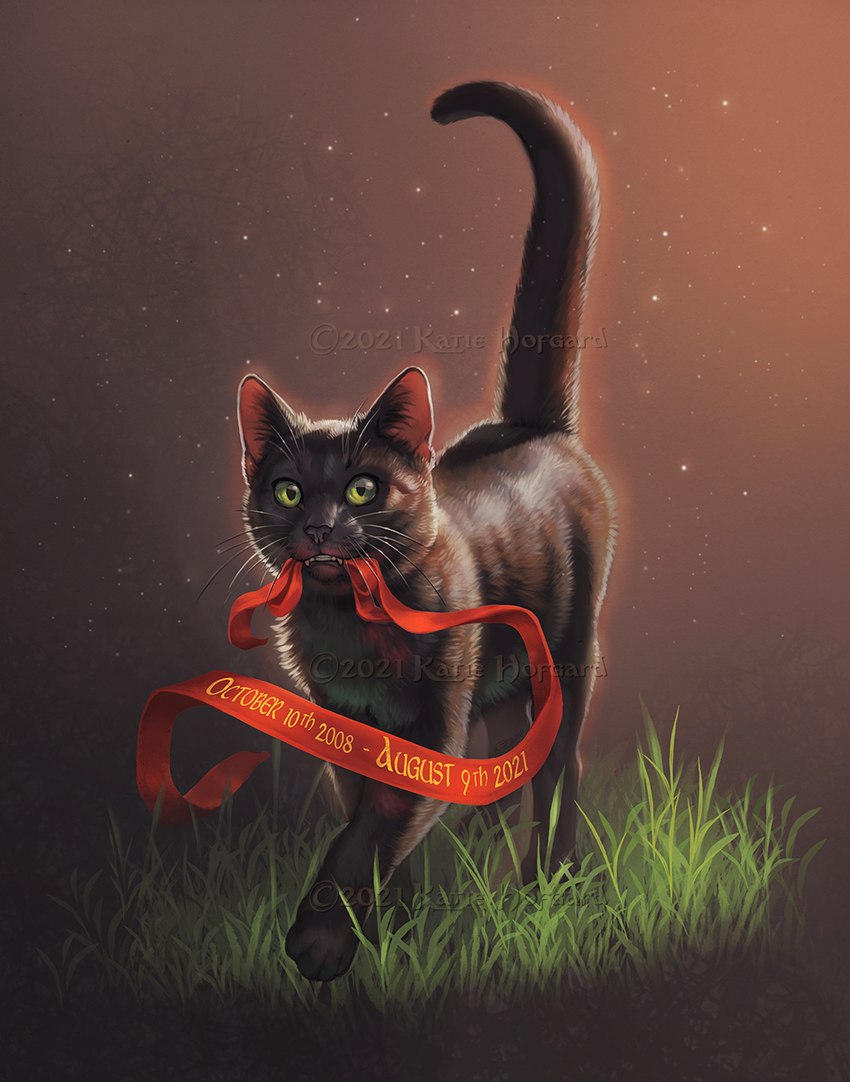 ambiguous_gender black_body black_fur black_nose detailed_fur feral fur grass green_eyes paws plant ribbons solo teeth walking whiskers katie_hofgard real_world domestic_cat felid feline felis mammal 2021 detailed digital_media_(artwork) hi_res in_memoriam