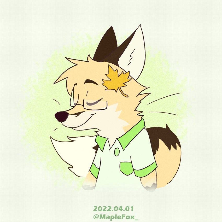 black_ear_tips black_ears clothing dipstick_ears ear_markings eyewear glasses green_clothing male maple_leaf multicolored_ears shirt simple_background simple_coloring solo t-shirt topwear maplefox canid canine fox mammal 1:1 hi_res