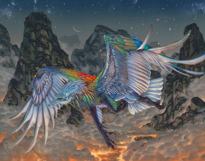 ambiguous_gender detailed_background feathered_wings feathers night outside sky solo star starry_sky wings nukerooster feonix 2021 digital_media_(artwork)