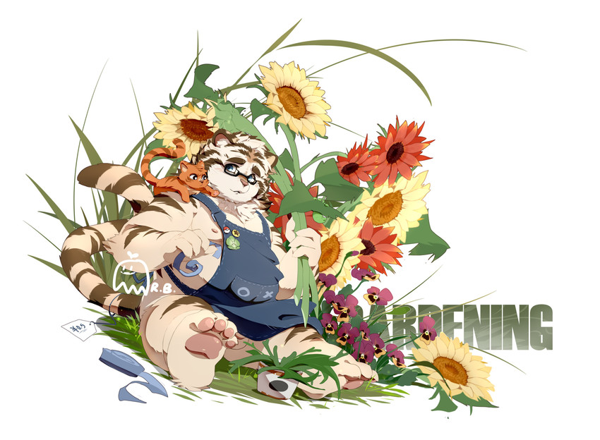 anthro apron balls belly clothing eyewear flower genitals glasses humanoid_hands male overweight overweight_anthro overweight_male plant sitting solo text rubberbark felid mammal pantherine tiger 2020 absurd_res hi_res