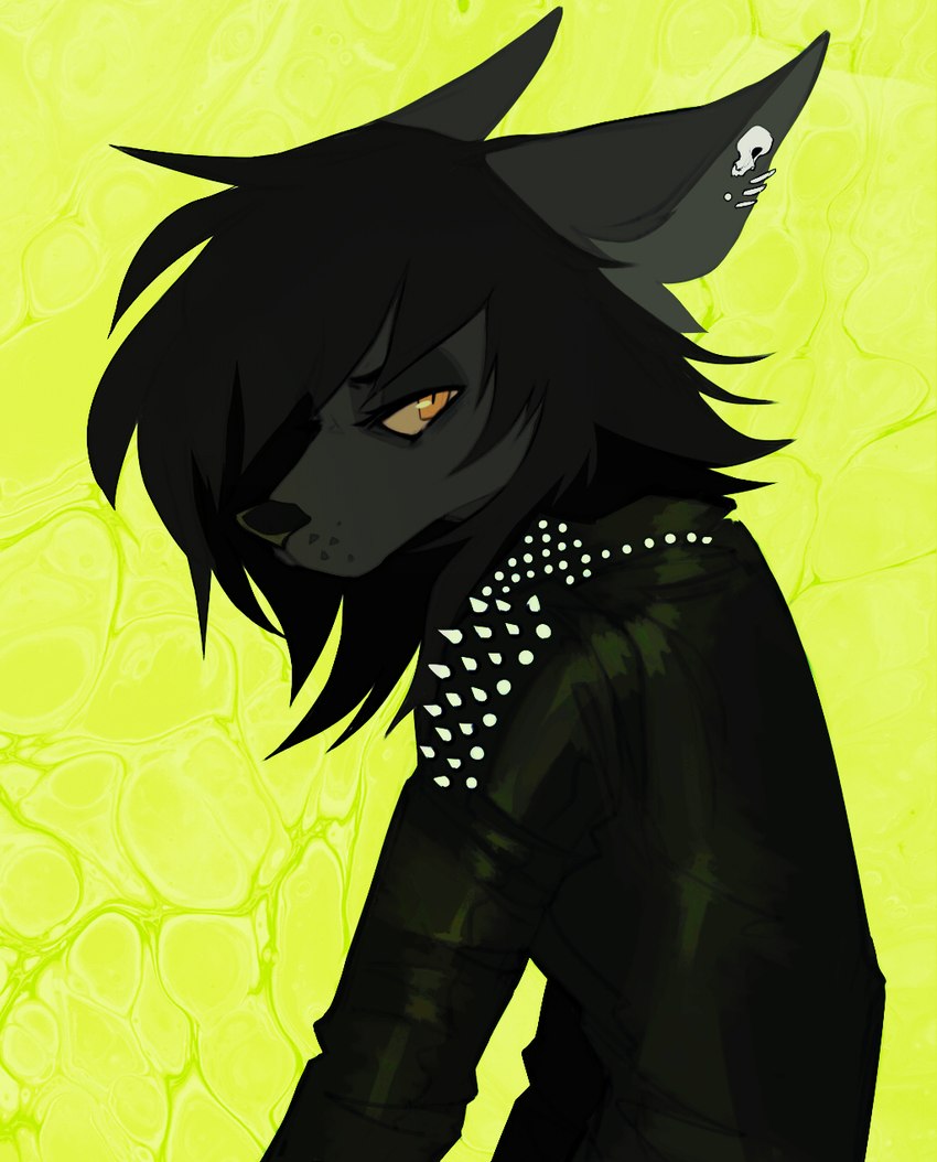 amber_eyes anthro black_hair clothing ear_piercing female hair jacket leather leather_clothing leather_jacket leather_topwear looking_at_viewer piercing solo spiked_jacket topwear riikaruh jenna_(ryn) canid canine canis humanoid mammal wolf hi_res unavailable_at_source