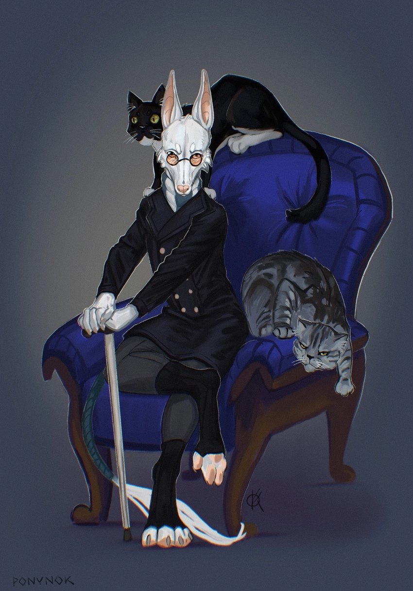 anthro black_body cane circle_glasses clothing coat feral looking_at_viewer markings overcoat paws pointy_ears posing_for_picture prick_ears topwear white_body white_markings ponynok canid canine canis domestic_cat domestic_dog felid feline felis mammal tabby_cat digital_media_(artwork) digital_painting_(artwork) hi_res