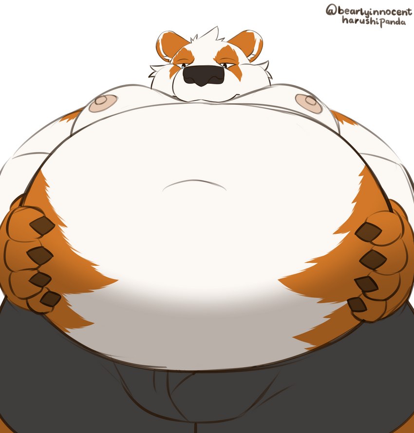 anthro belly blue_eyes bulge claws clothing fur low-angle_view male moobs multicolored_body multicolored_fur nipples orange_body orange_fur overweight overweight_male solo underwear white_body white_fur harushipanda bear giant_panda mammal absurd_res hi_res