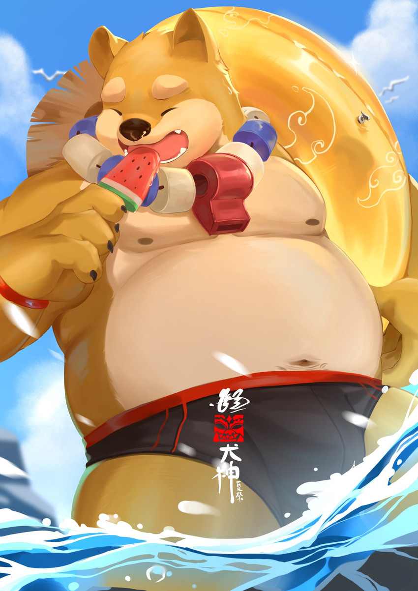 anthro belly clothing eyes_closed hat headgear headwear kemono male moobs navel nipples outside overweight overweight_anthro overweight_male solo swimwear water wet jmeo1230 canid canine canis domestic_dog mammal 2020 hi_res