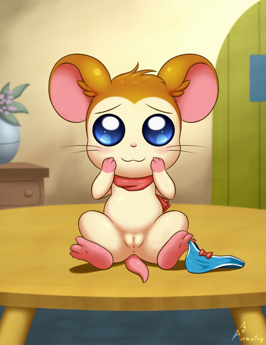 pashmina (hamtaro (series)) created by aurawing