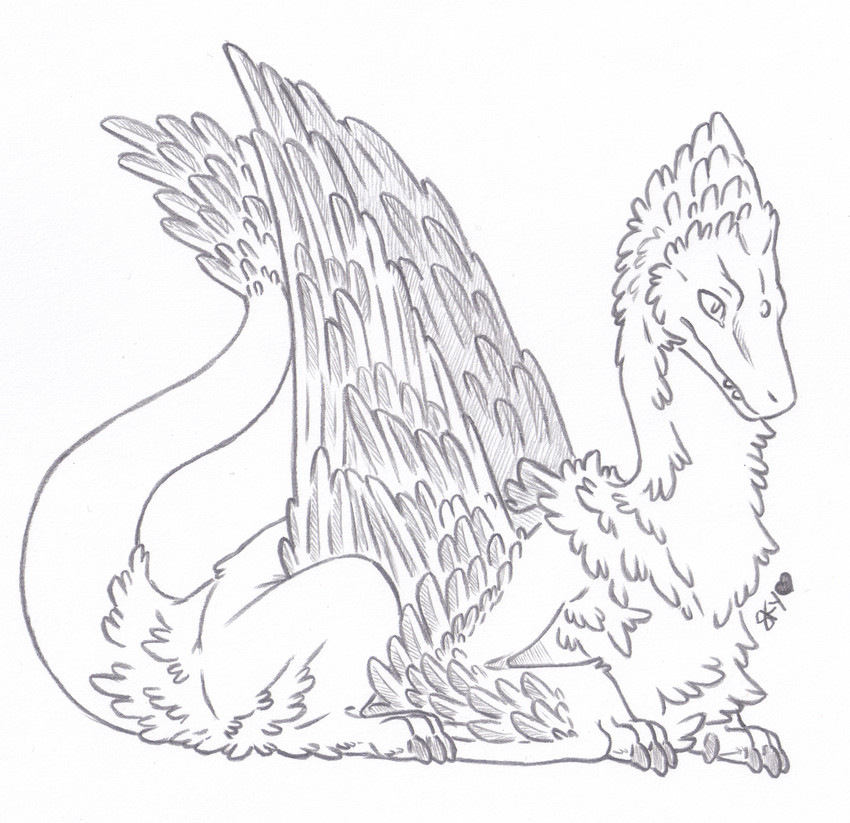 ambiguous_gender butt_tuft chest_tuft claws feathered_wings feathers feral fluffy lying neck_tuft paws simple_background solo tail tail_tuft teeth tuft white_background wings skyfifer european_mythology mythology dragon feathered_dragon feathered_scalie feathered_wyvern mythological_creature mythological_scalie reptile scalie western_dragon wyvern hi_res line_art signature traditional_media_(artwork) male_(lore)