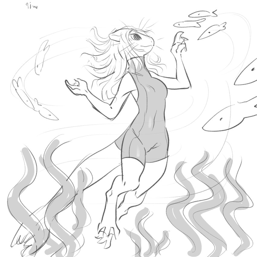 anthro big_eyes bottomwear clothing feet female hair long_hair membrane_(anatomy) plant seaweed shorts skinsuit sleeveless sleeveless_shirt solo swimming tail tight_clothing toes webbed_feet webbed_hands whiskers tateoftot fish leopard_seal mammal marine pinniped seal 1:1 hi_res monochrome sketch