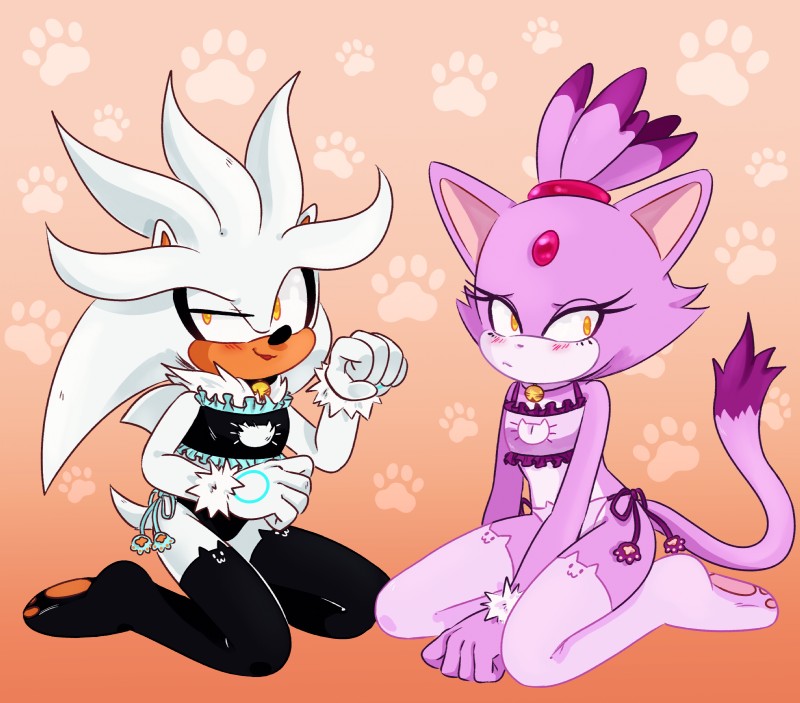 blaze the cat and silver the hedgehog (sonic the hedgehog (series) and etc) created by freedomfightersonic