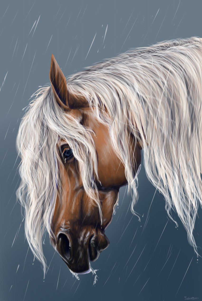 ambiguous_gender blue_eyes dripping_wet feral raining simple_background solo water julietterri maxym_(bloopertrooper) dolehest equid equine horse mammal bust_portrait headshot_portrait hi_res portrait male_(lore)