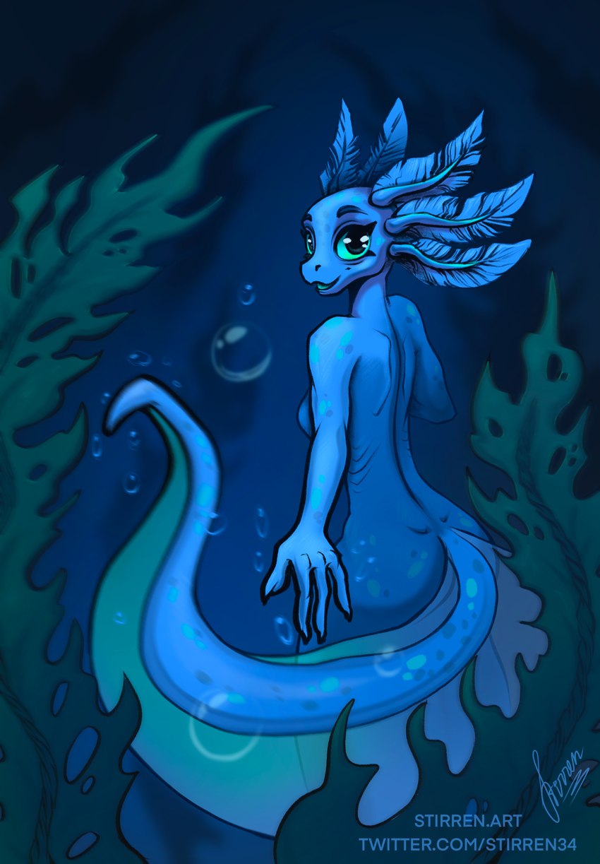 anthro breasts bubble butt female green_eyes looking_at_viewer reaching_out rear_view seaweed side_boob simple_background solo text underwater water stirren mermay amphibian axolotl marine mole_salamander salamander sea_creature black_and_blue hi_res monochrome url