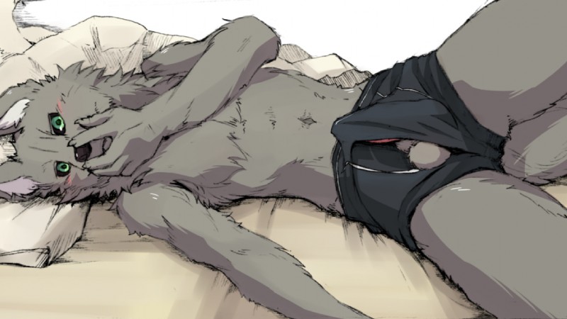 anthro balls barely_visible_genitalia barely_visible_penis bed black_nose black_sclera blush clothed clothing covering covering_mouth covering_own_mouth covering_self erection erection_under_clothing fur furniture genitals green_eyes grey_body grey_fur kemono looking_at_viewer lying male on_side penis pink_penis solo topless underwear hot_dog_wolf rokh_(artist) zinovy canid canine canis mammal wolf 2016