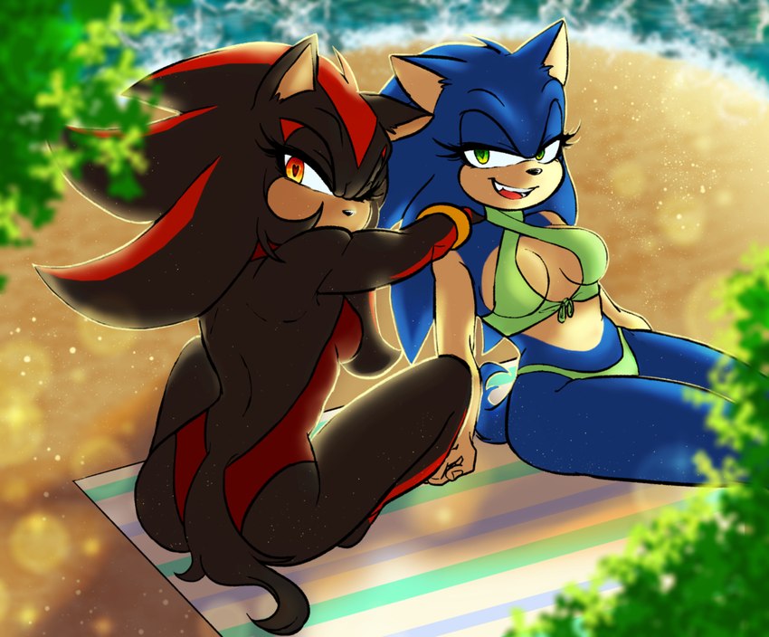 shadow the hedgehog and sonic the hedgehog (sonic the hedgehog (series) and etc) created by ggs busyrn
